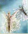 danza di farfalle 2.JPG (124792 byte)